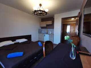 Отели типа «постель и завтрак» Dolphin House Леба Люкс с 2 спальнями-5
